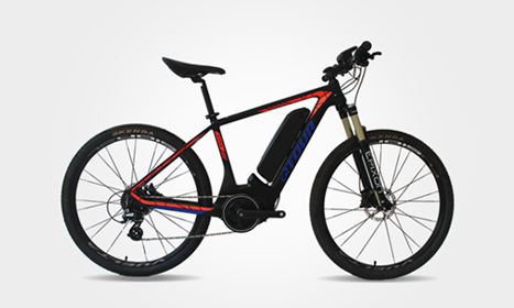 Electric Bicycles